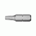 EMBOUT SÉRIE 1 POUR VIS TORX® 1/4