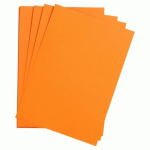 LOT DE 5 - ETIVAL COLOR PAQUET 5F A4 160G - ORANGE