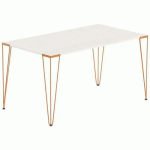 TABLE RÉUNION LORI 120 X 80 CM PLATEAU PIN PIED TERRACOTTA - MBA