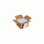 CARTON DE 200 ENVELOPPES POLLEN 114X162MM 120G/M² - BLEU