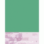 PASTELMAT PAQUET 5F 50X70CM 360G - VERT FONCÉ