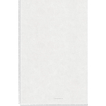 PAPIER PEINT GRIS CLAIR TAPISSERIE MODERNE COULEUR CLAIRE POUR SALON OU CHAMBRE D'ADULTE PAPIERS PEINTS STYLE SCANDINAVE TENDANCE - BLANC, GRIS