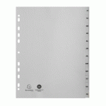 LOT DE 2 - INTERCALAIRE A4+ POLYPROPYLÈNE GRIS EXACOMPTA 12 ONGLETS MENSUELS GRIS - 1 JEU