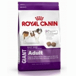 ALIMENT POUR CHIEN GIANT ADULT ROYAL CANIN