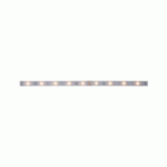 EXTENSION BANDE ADHÉSIVE MAXLED 250 - 4M -4W - 6500K PAULMANN