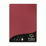 LOT DE 2 - ETUI DE 50 FEUILLES POLLEN 210X297MM 120G/M2 - BORDEAUX