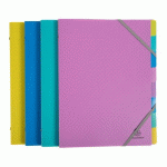 LOT DE 4 - TRIEUR PLASTIQUE FOREVER YOUNG EXACOMPTA 8 DIVISIONS COULEURS ASSORTIES
