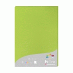 ETUI DE 25 FEUILLES POLLEN 210X297MM 210G/M2 - VERT MENTHE - LOT DE 2