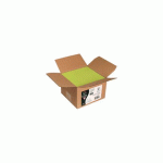 CARTON DE 200 ENVELOPPES POLLEN 114X162MM 120G/M² - VERT BOURGEON