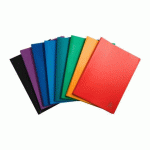 LOT DE 12 - PROTÈGE-DOCUMENTS OPAK EXACOMPTA POLYPROPYLÈNE A4 40 POCHETTES - 80 VUES COULEURS ASSORTIES