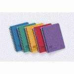 NOTEMAKER EUROPA CAHIER RELIURE INTÉGRALE A6 120 PAGES DÉTACHABLES LIGNÉ - ASSORTIS - LOT DE 10