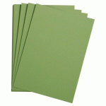 LOT DE 5 - ETIVAL COLOR PAQUET 5F A4 160G - VERT POMME