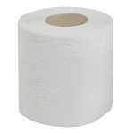 PAPIER TOILETTE DOUBLE ÉPAISSEUR LUCART ECO - 96 ROULEAUX DE 200 FEUILLES