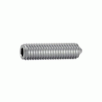 VIS MÉTAUX SANS TÊTE BOUT POINTEAU 6 PANS CREUX FILETAGE TOTAL INOX A2 - 5X16 B100 ACTON