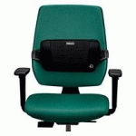 SUPPORT DORSAL PLUSH TOUCH FELLOWES