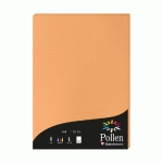 ETUI DE 50 FEUILLES POLLEN 210X297MM 120G/M2 - CLÉMENTINE - LOT DE 3