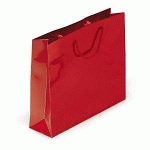 SAC PELLICULÉ BRILLANT ROUGE 19X27X10 CM