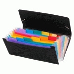 TRIEUR PLASTIQUE FORMAT CHÈQUE 12 ONGLETS RAINBOW CLASS VIQUEL