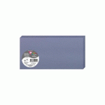 PAQUET DE 25 CARTES PLIÉES POLLEN 106X213MM 210G/M² - MYOSOTIS
