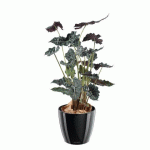 PLANTE ARTIFICIELLE D