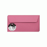 LOT DE 2 - PAQUET DE 20 ENVELOPPES POLLEN 110X220MM 120G/M2 - ROSE HORTENSIA