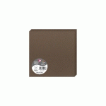 PAQUET DE 25 CARTES PLIÉES POLLEN 160X160MM 210G/M2 - MARRON TAUPÉ - LOT DE 2