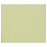 TULIPE RAME 50F 50X65CM 160G - VERT TILLEUL