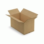 CAISSE CARTON BRUNE TRIPLE CANNELURE RAJA 101X54X54 CM