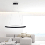 PAUL NEUHAUS TITUS SUSPENSION LED, OVALE 80X39CM