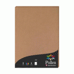 LOT DE 2 - ETUI DE 50 FEUILLES POLLEN 210X297MM 120G/M2 - KRAFT