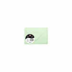 LOT DE 2 - PAQUET DE 20 ENVELOPPES POLLEN 75X100MM 120G/M² - VERT