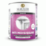ANTI MOISISSURE VERNIS MULTISUPPORTS MUR, BOISERIE, SUPPORT PEINT - 2,5L INCOLORE MAULER