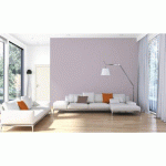 PEINTURE ACRYLIQUE GORI STYLE VELOURS INTÉRIEUR - MAUVE CAREX - 3L GORI