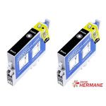 LOT DE 2 CARTOUCHES COMPATIBLE EPSON T0551 NOIRE
