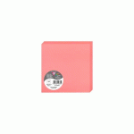 LOT DE 2 - PAQUET DE 25 CARTES PLIÉES POLLEN 135X135MM 210G/M² - LITCHI