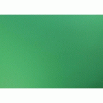 PAPIER COULEUR RECYLÉ, PAQUET DE 25 FEUILLES 270G/M2 AU FORMAT 50X65CM - VERT BOUTEILLE