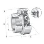 ROULEMENT PALIER RALE 25 NPP INA