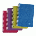 LOT DE 5 - CARNET SPIRALE LINICOLOR FORMAT 9 X 14 CM PETITS CARREAUX 100 PAGES