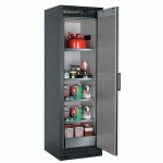 ARMOIRE SÉCURITÉ Q-PEGASUS-90 Q90.195.060.WDACR GRIS/GRIS - ASECOS