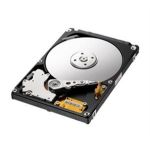 SEAGATE DISQUE DUR INTERNE MOMENTUS SPINPOINT M8 (ST1000LM024) - 1 TO