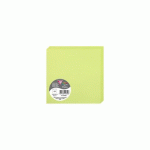 LOT DE 2 - PAQUET DE 25 CARTES PLIÉES POLLEN 135X135MM 210G/M² - VERT BOURGEON
