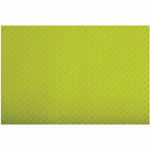 SET DE TABLE 30X40 CM - TISS-LACK VERT KIWI - COGIR