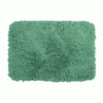TAPIS DE BAIN - MICROFIBRE - ANTIDÉRAPANT - HIGHLAND - 80X150CM - VERT BASIL SPIRELLA