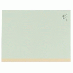 CHEMISE DOSSIER À SOUFFLET CARTE EXACOMPTA DOS TOILÉ 24 X 32 CM VERTE - PAQUET DE 25