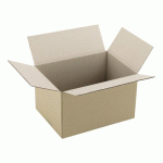 LOT DE 25 - CARTON CAISSE AMÉRICAINE KRAFT BRUN SIMPLE CANNELURE L 25 X L 18 X H 15 CM