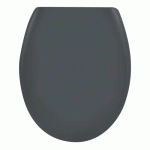 ABATTANT WC - THERMODUR - AVEC FREIN DE CHUTE - EASY CLIP - GRIS SPIRELLA