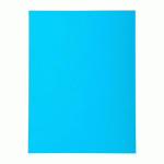 CHEMISE STANDARD 210 G EXACOMPTA FOREVER 24 X 32 CM BLEU - PAQUET DE 100