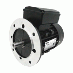 MOTEUR ÉLECTRIQUE 220V 4 KW 3000 TR/MIN DOUBLE CONDENSATEUR - ML112M22B5 BRIDE B5