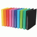 CLASSEUR 4 ANNEAUX CARTON EXACOMPTA IDERAMA A4 DOS 4 CM COULEURS ASSORTIES - LOT DE 10