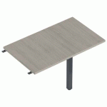 ENIS RETOUR 120 X 60 CM + 1 PIED ANTH. PLT. CHÊNE GRIS - MBA